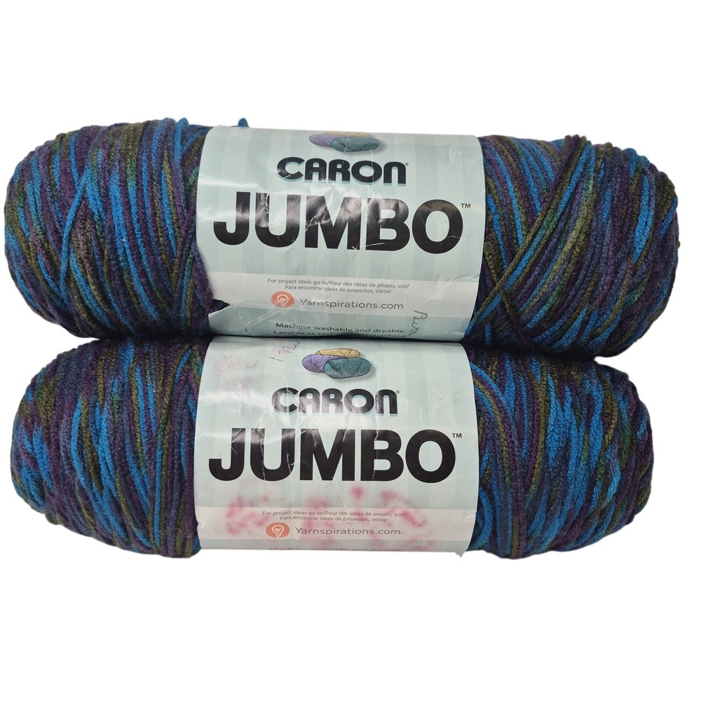 Caron Jumbo Peacock Yarn 100% Acrylic Variegated 12oz 544m Knitting Crochet (2)